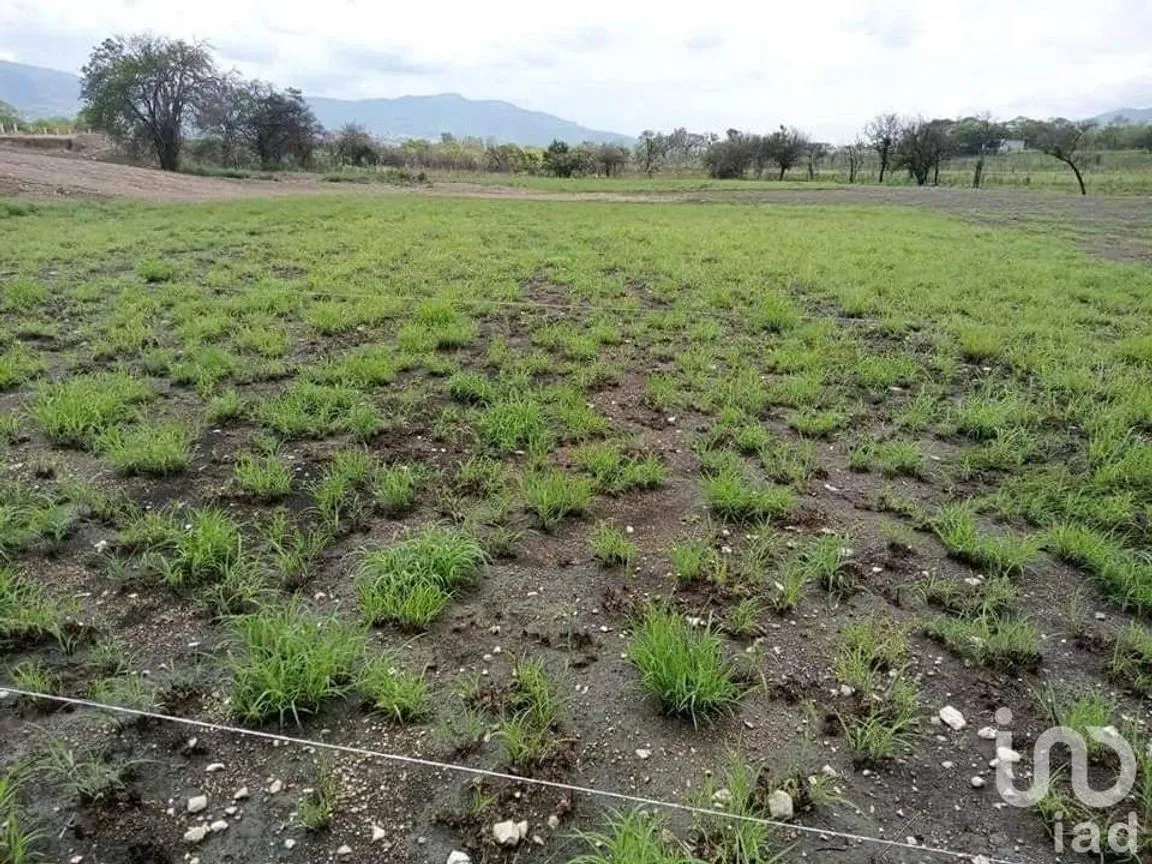 Terreno en Venta en Alborada, Tuxtla Gutiérrez, Chiapas | NEX-231593 | iad México | Foto 5 de 7