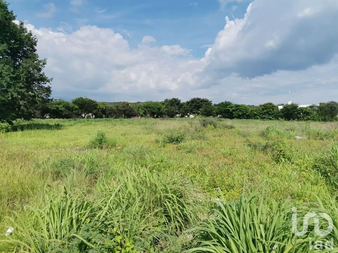 Terreno en Venta en Villa Real, Chiapa de Corzo, Chiapas | NEX-231594 | iad México | Foto 6 de 17