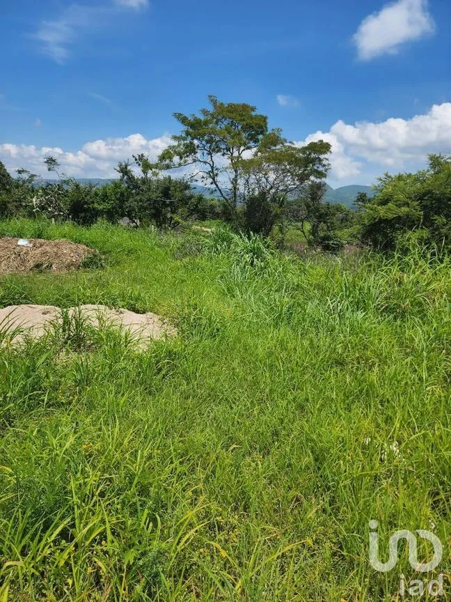 Terreno en Venta en Berriozabal Centro, Berriozábal, Chiapas | NEX-231595 | iad México | Foto 4 de 8