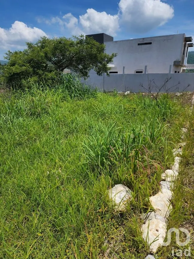 Terreno en Venta en Berriozabal Centro, Berriozábal, Chiapas | NEX-231595 | iad México | Foto 7 de 8