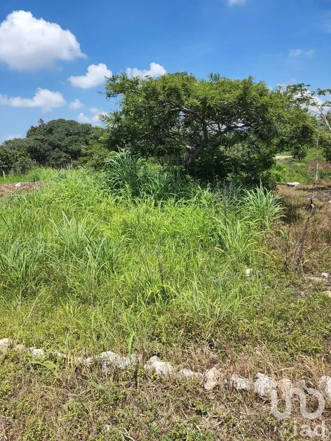 Terreno en Venta en Berriozabal Centro, Berriozábal, Chiapas | NEX-231595 | iad México | Foto 1 de 8