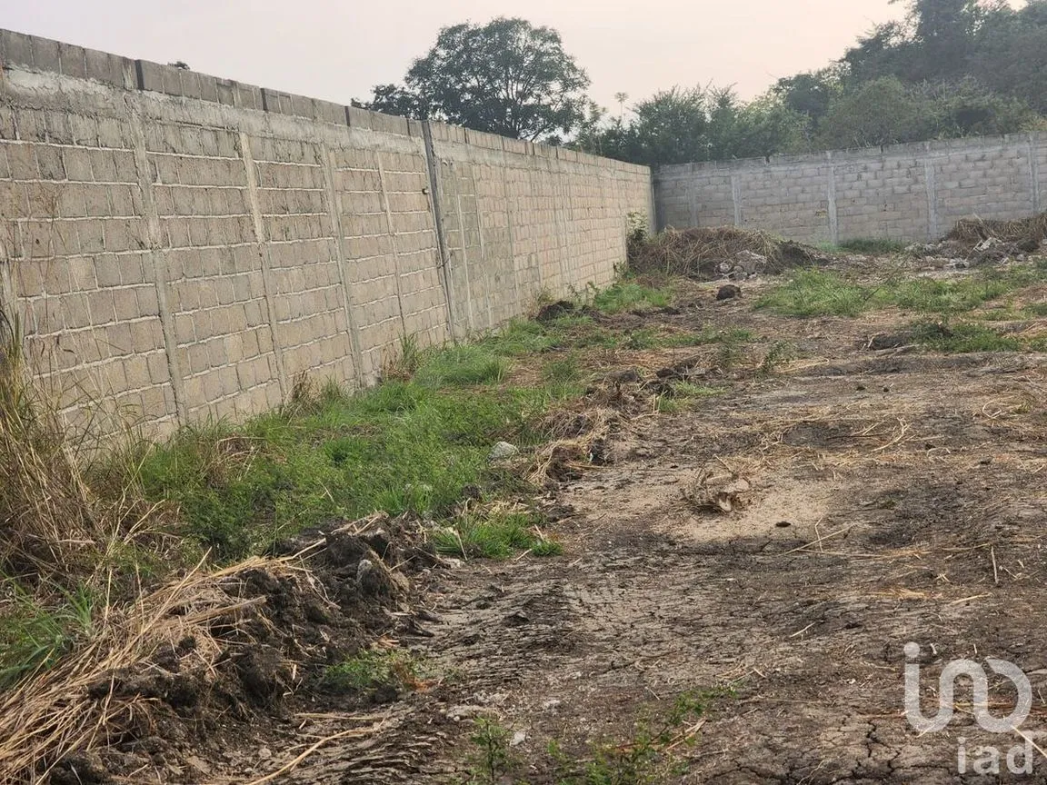 Terreno en Venta en Plan de Ayala, Tuxtla Gutiérrez, Chiapas | NEX-231596 | iad México | Foto 4 de 5