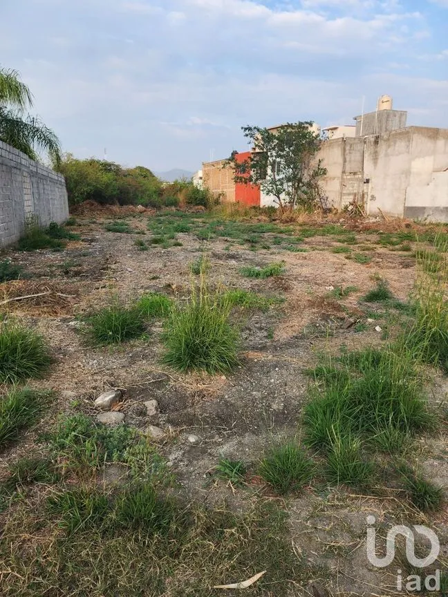 Terreno en Venta en Plan de Ayala, Tuxtla Gutiérrez, Chiapas | NEX-231597 | iad México | Foto 2 de 7