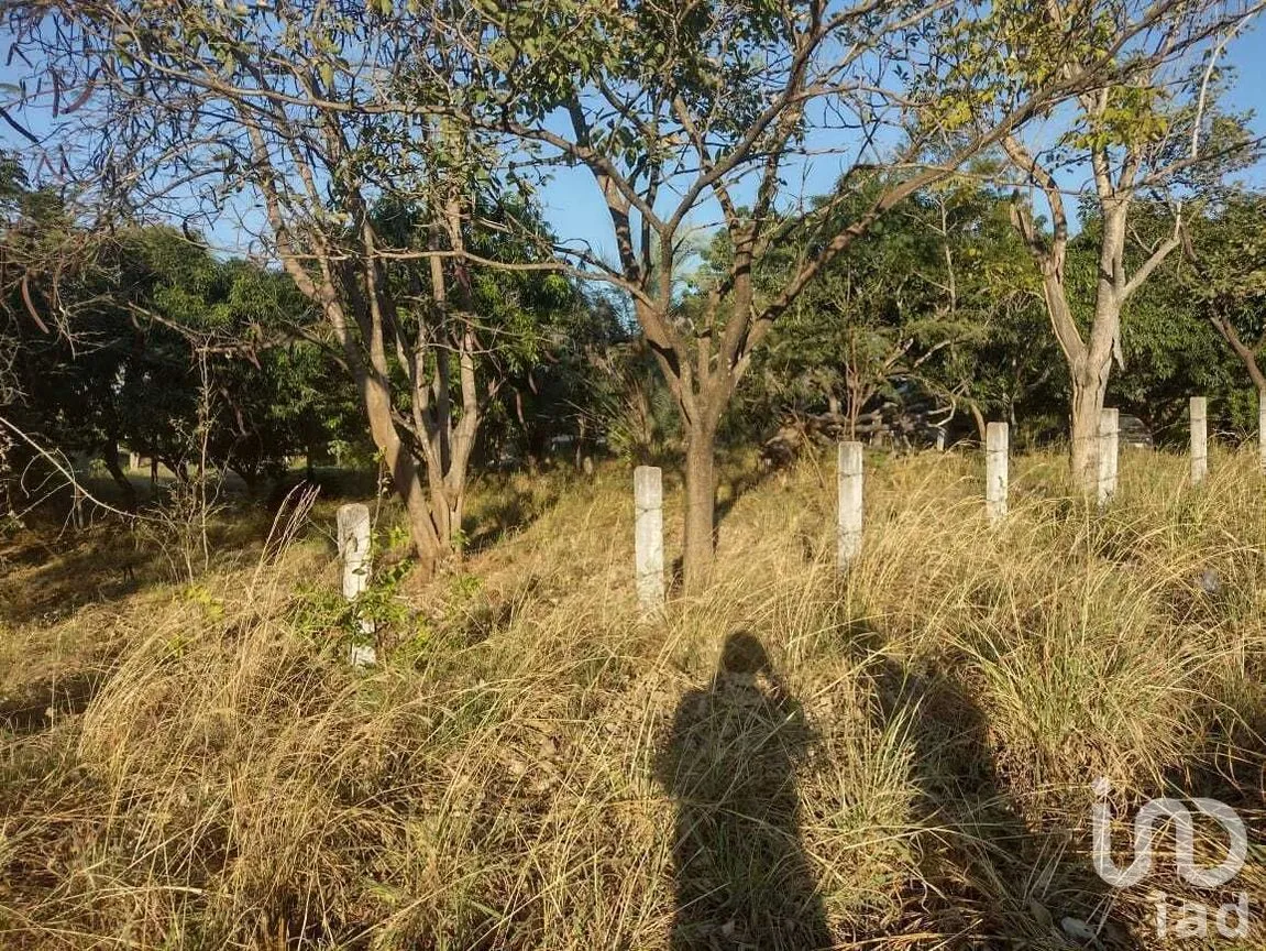 Terreno en Venta en Copoya, Tuxtla Gutiérrez, Chiapas | NEX-231601 | iad México | Foto 14 de 33