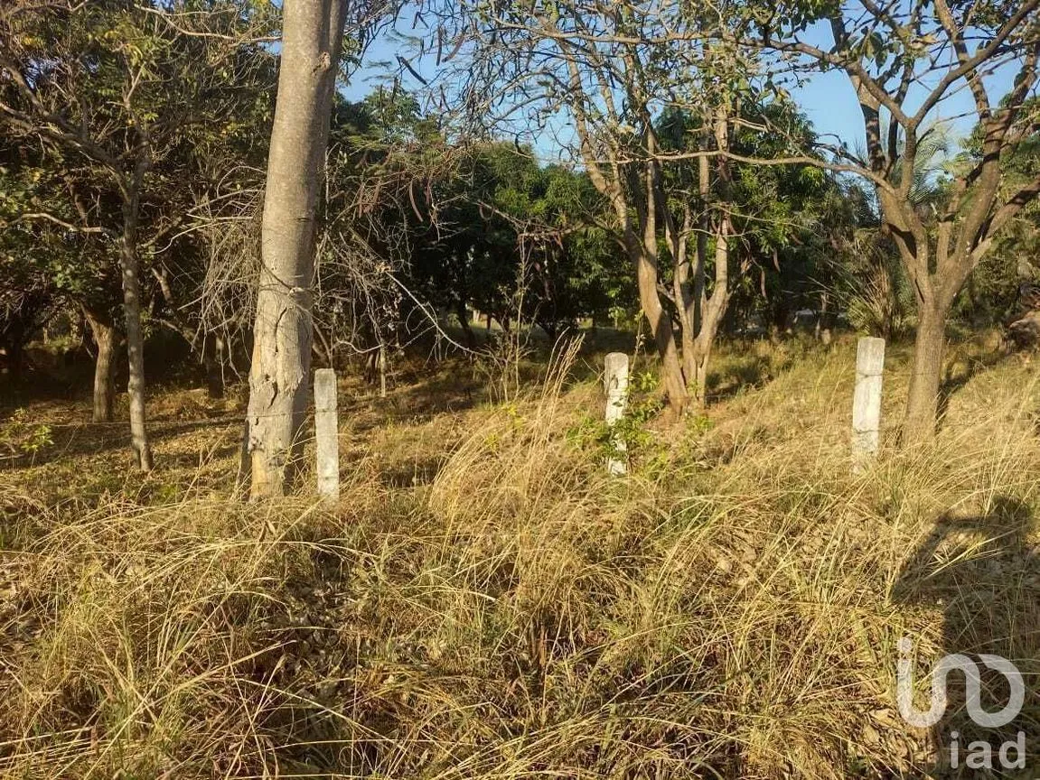 Terreno en Venta en Copoya, Tuxtla Gutiérrez, Chiapas | NEX-231601 | iad México | Foto 16 de 33