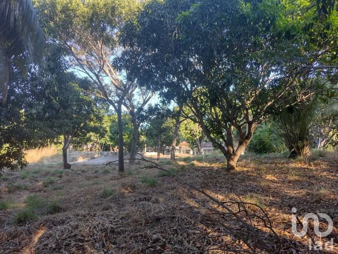 Terreno en Venta en Copoya, Tuxtla Gutiérrez, Chiapas | NEX-231601 | iad México | Foto 20 de 33