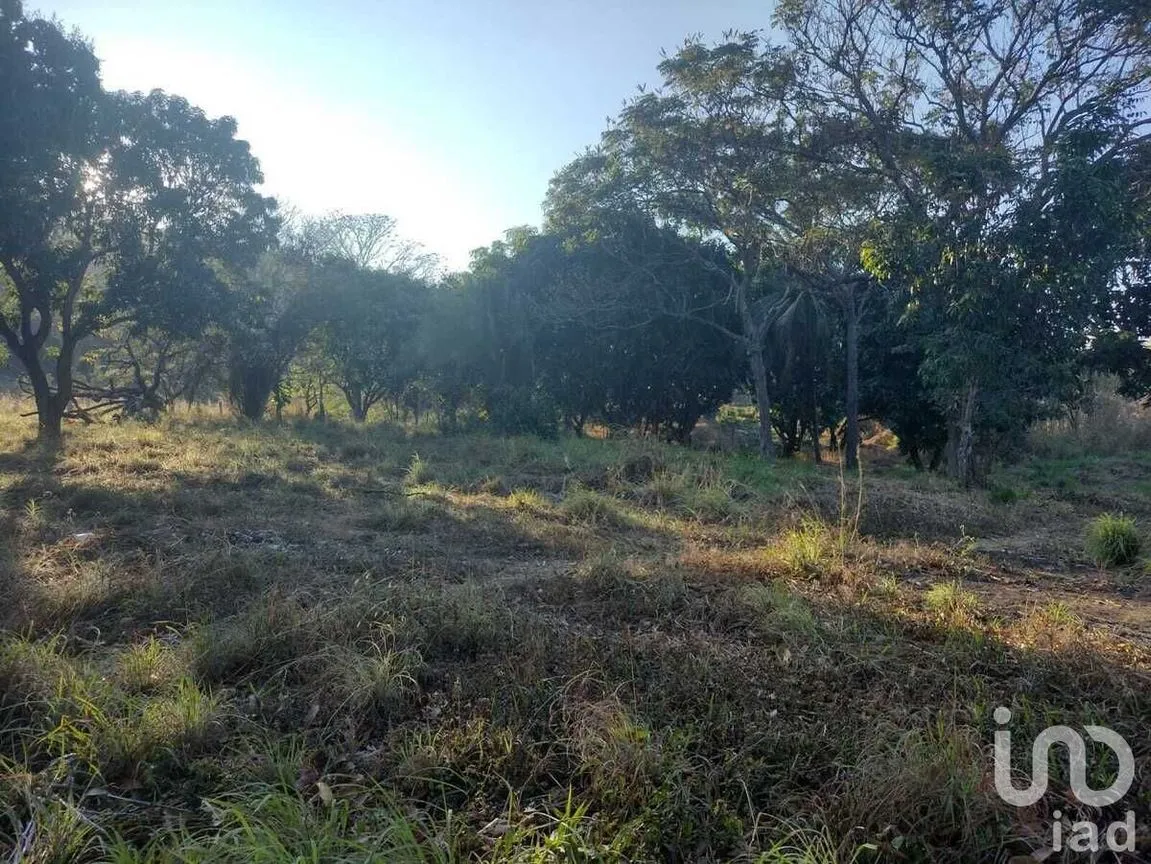 Terreno en Venta en Copoya, Tuxtla Gutiérrez, Chiapas | NEX-231601 | iad M éxico | Foto 31 de 33