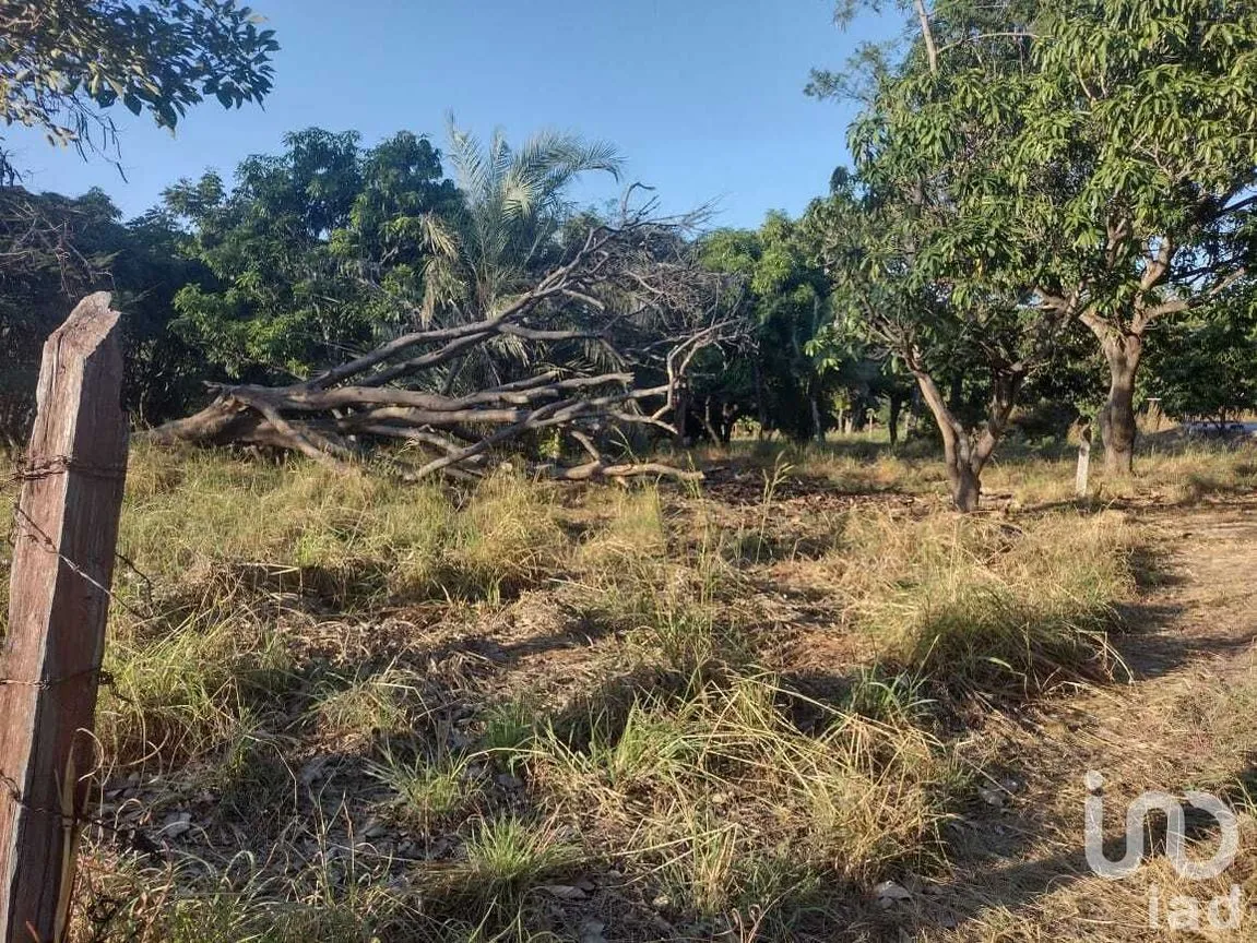 Terreno en Venta en Copoya, Tuxtla Gutiérrez, Chiapas | NEX-231601 | iad México | Foto 33 de 33