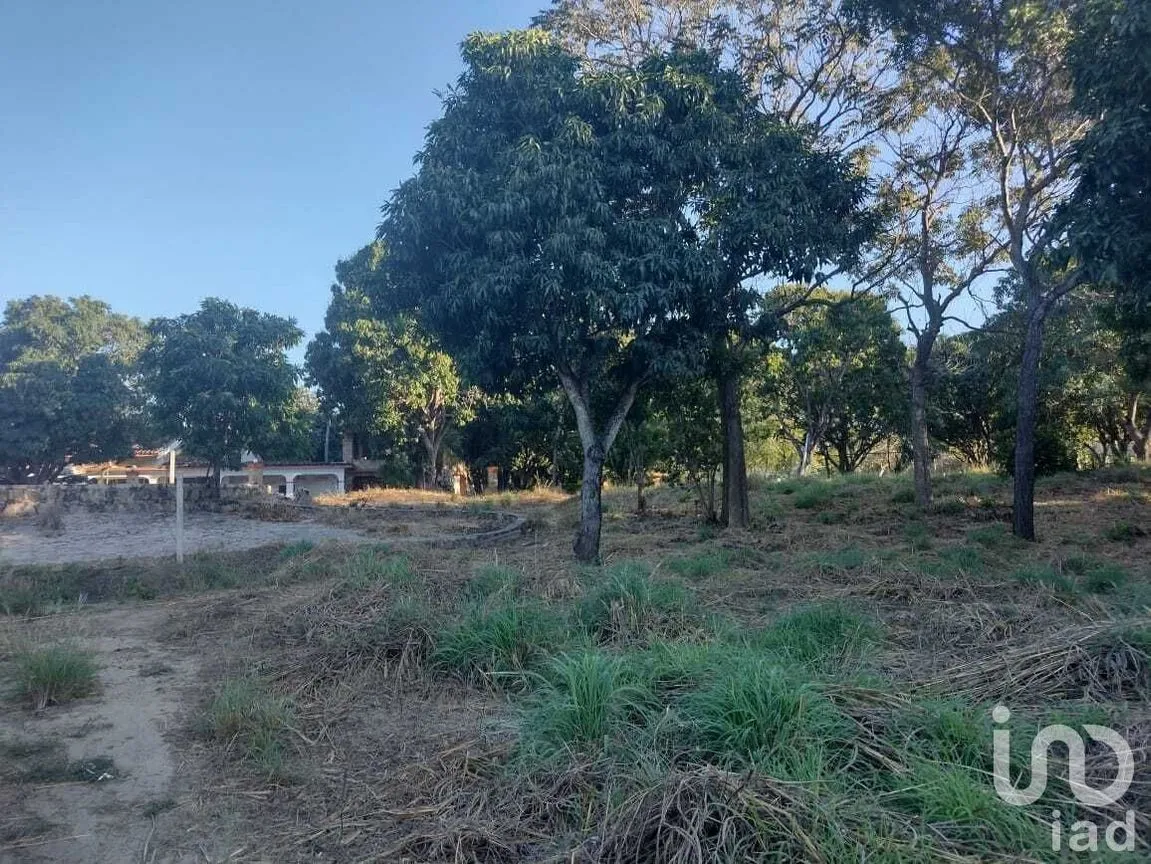 Terreno en Venta en Copoya, Tuxtla Gutiérrez, Chiapas | NEX-231601 | iad México | Foto 7 de 33