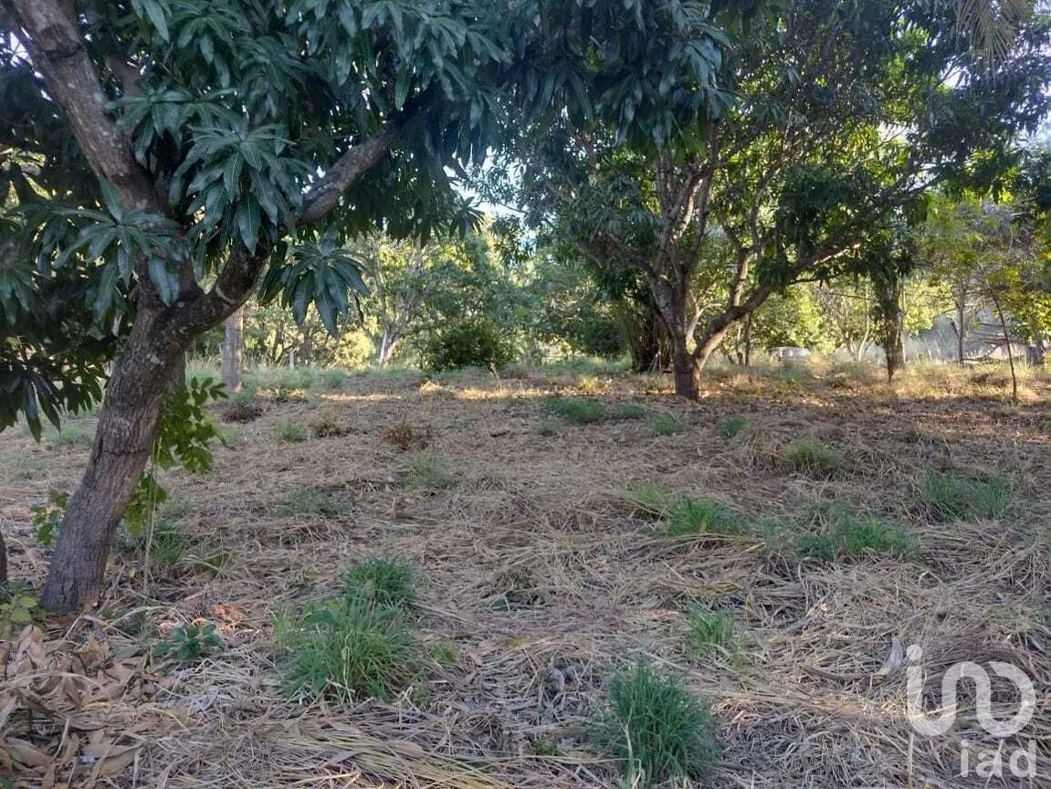 Terreno en Venta en Copoya, Tuxtla Gutiérrez, Chiapas | NEX-231601 | iad México | Foto 9 de 33