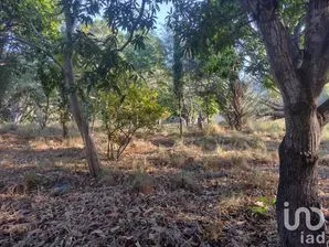 NEX-231601 - Terreno en Venta en Copoya, CP 29100, Chiapas.