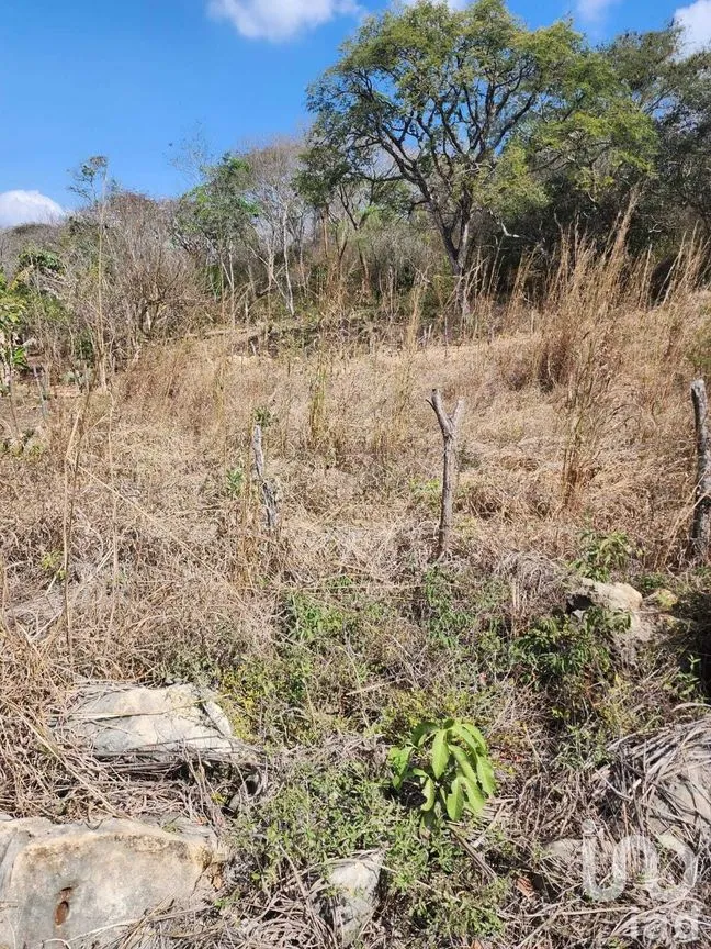 Terreno en Venta en El Jobo, Tuxtla Gutiérrez, Chiapas | NEX-231603 | iad México | Foto 2 de 4