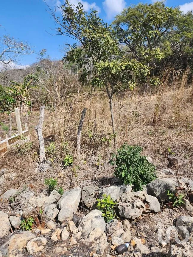 Terreno en Venta en El Jobo, Tuxtla Gutiérrez, Chiapas | NEX-231603 | iad México | Foto 3 de 4