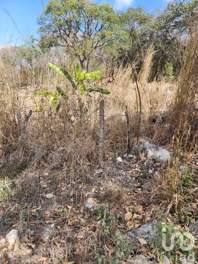Terreno en Venta en El Jobo, Tuxtla Gutiérrez, Chiapas | NEX-231603 | iad México | Foto 4 de 4