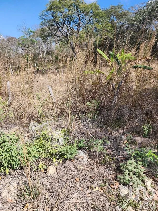 Terreno en Venta en El Jobo, Tuxtla Gutiérrez, Chiapas | NEX-231603 | iad México | Foto 1 de 4