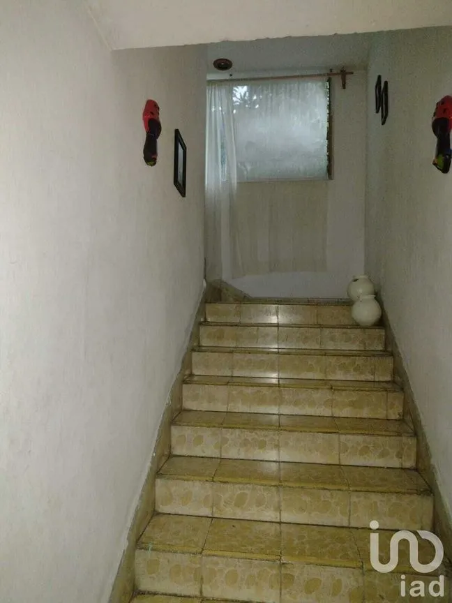 Casa en Renta en Tuxtla Gutiérrez Centro, Tuxtla Gutiérrez, Chiapas | NEX-231604 | iad México | Foto 6 de 49