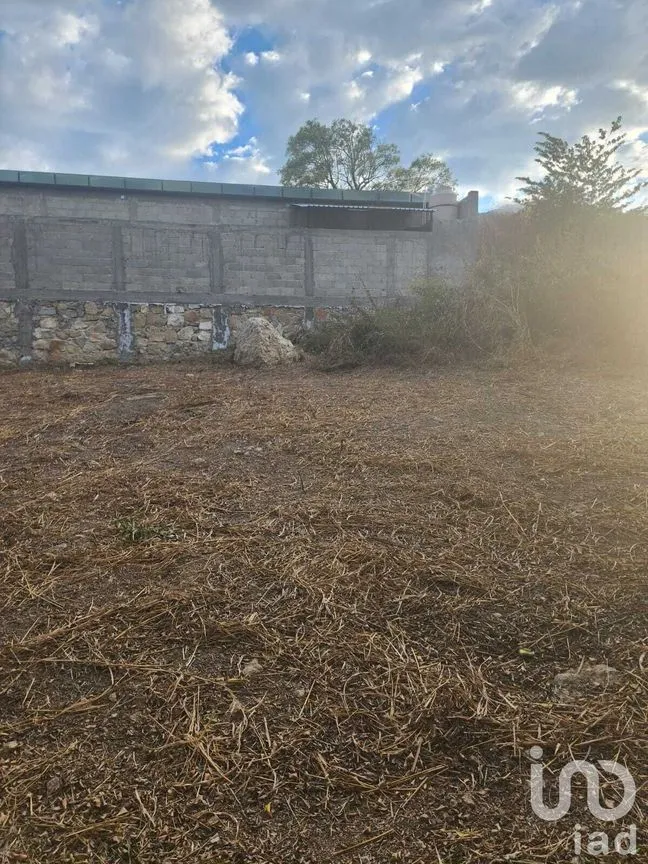 Terreno en Venta en Tuxtlán Mactumatza, Tuxtla Gutiérrez, Chiapas | NEX-231605 | iad México | Foto 3 de 6