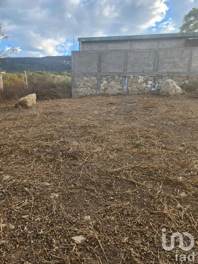 Terreno en Venta en Tuxtlán Mactumatza, Tuxtla Gutiérrez, Chiapas | NEX-231605 | iad México | Foto 4 de 6