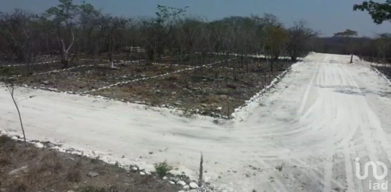 Terreno en Venta en Granjas Club Campestre, Tuxtla Gutiérrez, Chiapas | NEX-231609 | iad México | Foto 7 de 7