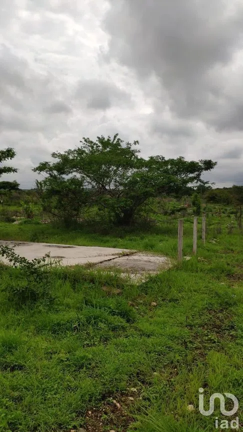 Terreno en Venta en El Sabino, Berriozábal, Chiapas | NEX-231610 | iad México | Foto 2 de 7