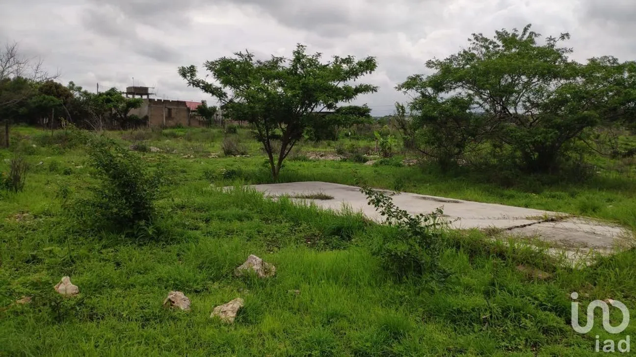 Terreno en Venta en El Sabino, Berriozábal, Chiapas | NEX-231610 | iad México | Foto 4 de 7
