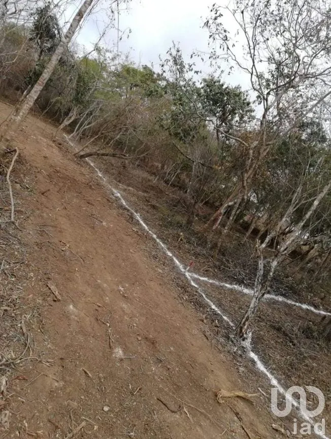Terreno en Venta en El Jobo, Tuxtla Gutiérrez, Chiapas | NEX-231614 | iad México | Foto 4 de 11