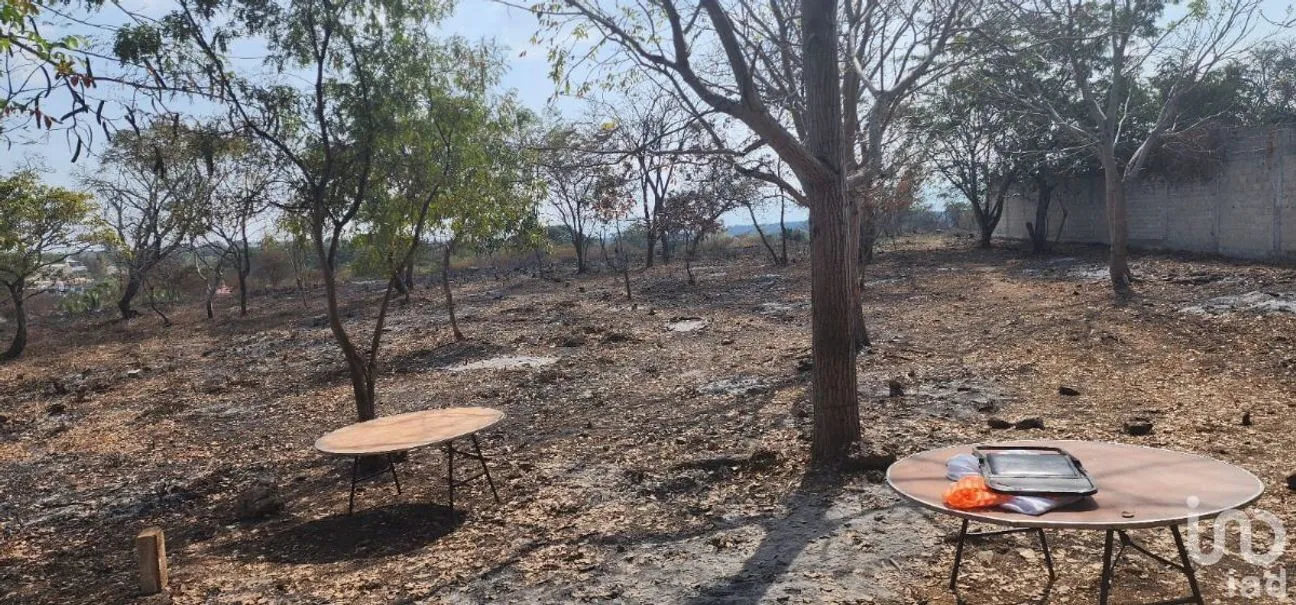 Terreno en Venta en El Jobo, Tuxtla Gutiérrez, Chiapas | NEX-231614 | iad México | Foto 7 de 11