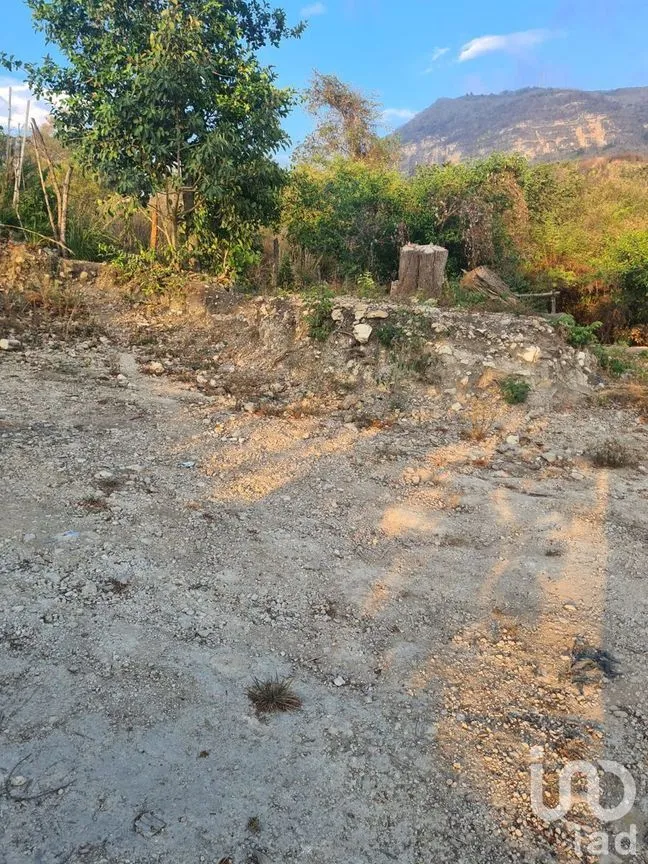 Terreno en Venta en Loma Bonita, Tuxtla Gutiérrez, Chiapas | NEX-232036 | iad México | Foto 11 de 12