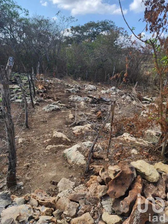 Terreno en Venta en El Jobo, Tuxtla Gutiérrez, Chiapas | NEX-232037 | iad México | Foto 1 de 3
