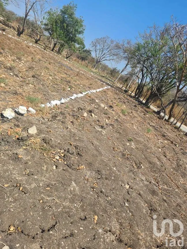 Terreno en Venta en Real del Bosque, Tuxtla Gutiérrez, Chiapas | NEX-232045 | iad México | Foto 3 de 5