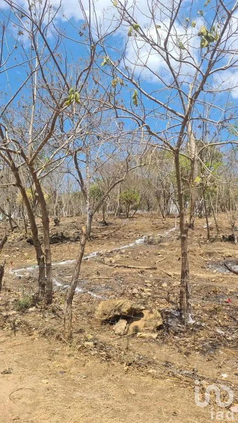 Terreno en Venta en El Jobo, Tuxtla Gutiérrez, Chiapas | NEX-232051 | iad México | Foto 5 de 9
