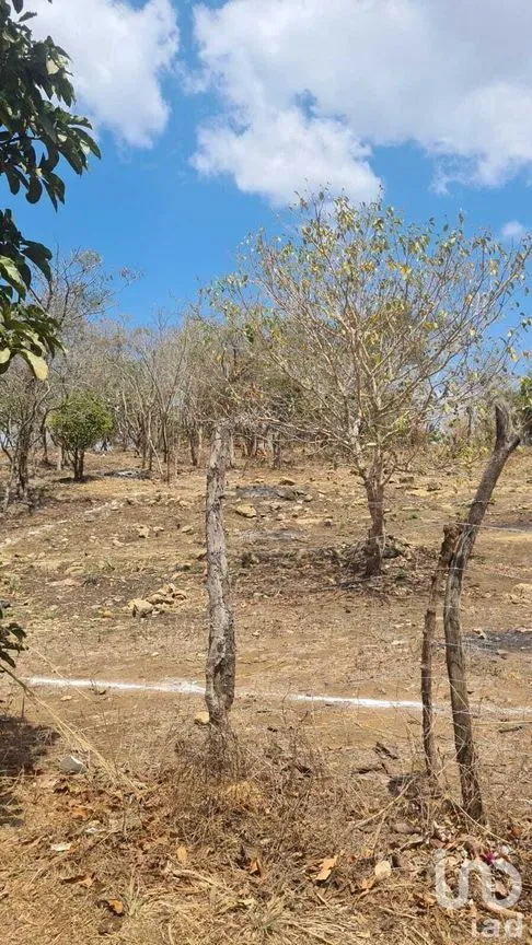 Terreno en Venta en El Jobo, Tuxtla Gutiérrez, Chiapas | NEX-232051 | iad México | Foto 6 de 9