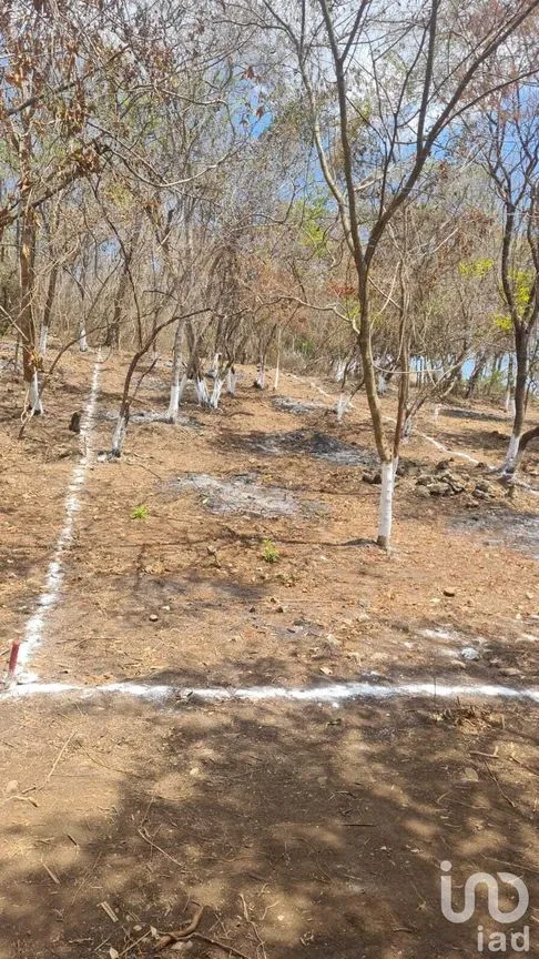 Terreno en Venta en El Jobo, Tuxtla Gutiérrez, Chiapas | NEX-232051 | iad México | Foto 1 de 9
