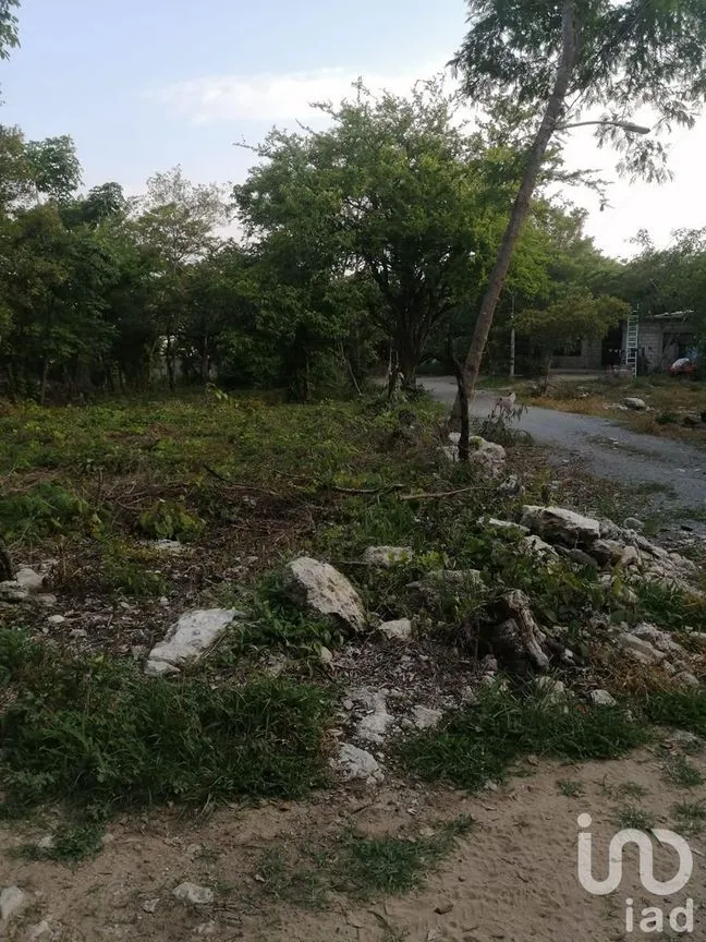 Terreno en Venta en Campestre Arenal, Tuxtla Gutiérrez, Chiapas | NEX-232054 | iad México | Foto 3 de 4