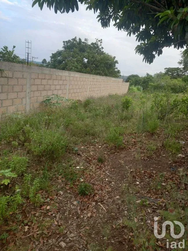 Terreno en Venta en Ocuilapa de Juárez, Ocozocoautla de Espinosa, Chiapas | NEX-232060 | iad México | Foto 11 de 12