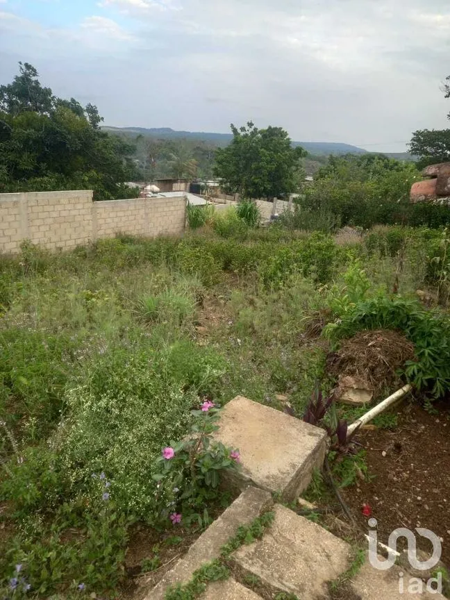 Terreno en Venta en Ocuilapa de Juárez, Ocozocoautla de Espinosa, Chiapas | NEX-232060 | iad México | Foto 3 de 12