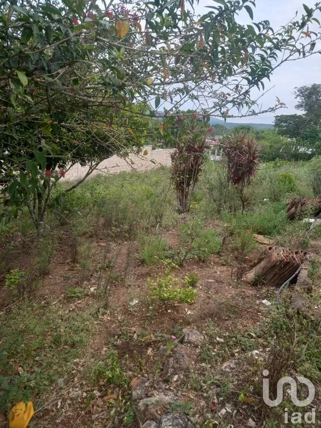 Terreno en Venta en Ocuilapa de Juárez, Ocozocoautla de Espinosa, Chiapas | NEX-232060 | iad México | Foto 6 de 12