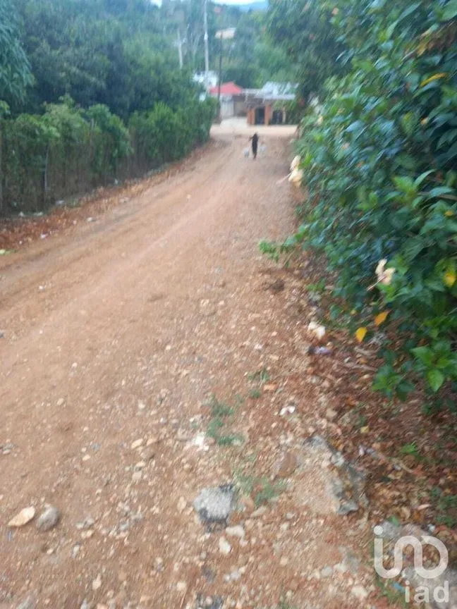 Terreno en Venta en Ocuilapa de Juárez, Ocozocoautla de Espinosa, Chiapas | NEX-232060 | iad México | Foto 10 de 12