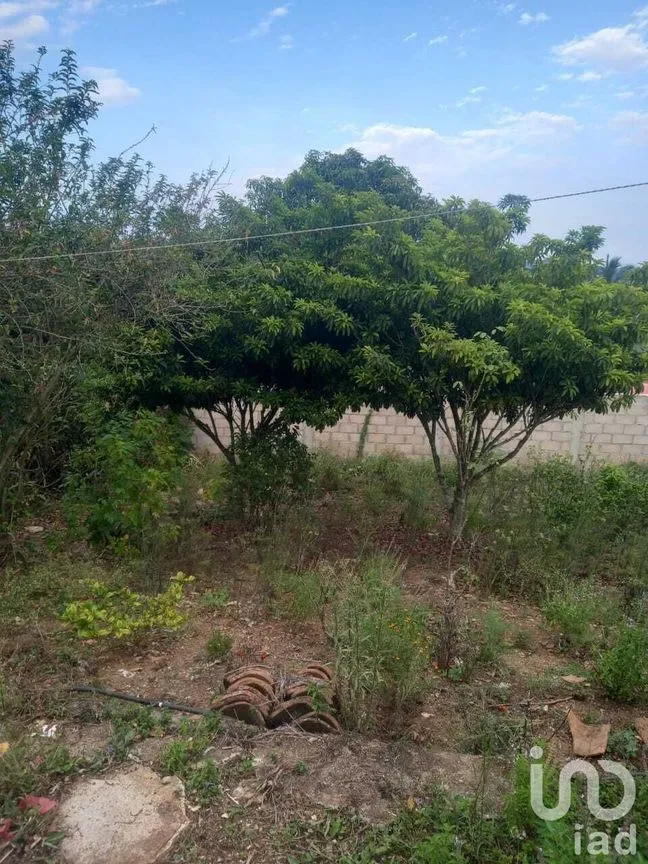 Terreno en Venta en Ocuilapa de Juárez, Ocozocoautla de Espinosa, Chiapas | NEX-232060 | iad México | Foto 1 de 12