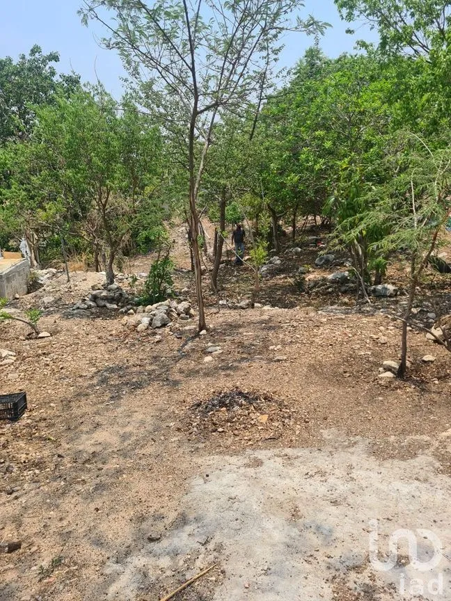 Terreno en Venta en Nuevo Bochil, Chiapa de Corzo, Chiapas | NEX-232064 | iad México | Foto 3 de 10