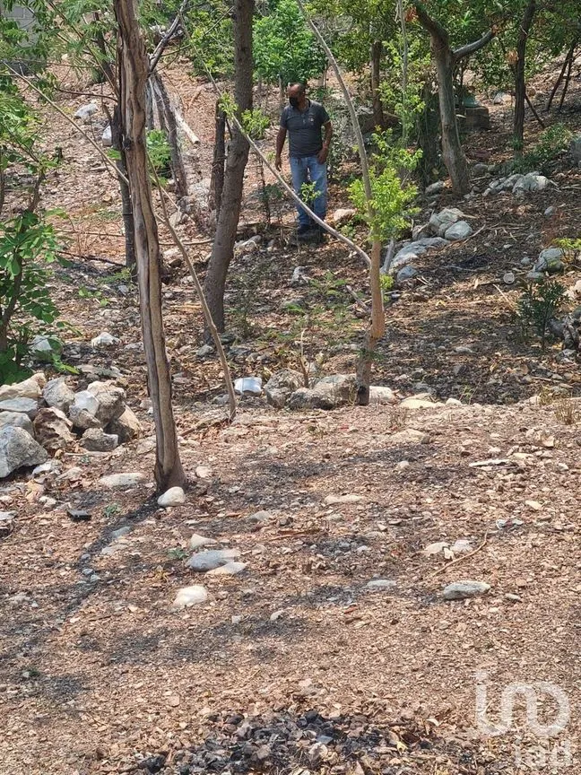 Terreno en Venta en Nuevo Bochil, Chiapa de Corzo, Chiapas | NEX-232064 | iad México | Foto 4 de 10