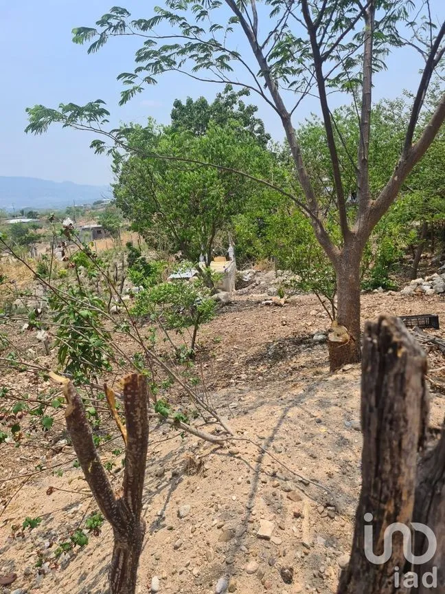 Terreno en Venta en Nuevo Bochil, Chiapa de Corzo, Chiapas | NEX-232064 | iad México | Foto 8 de 10