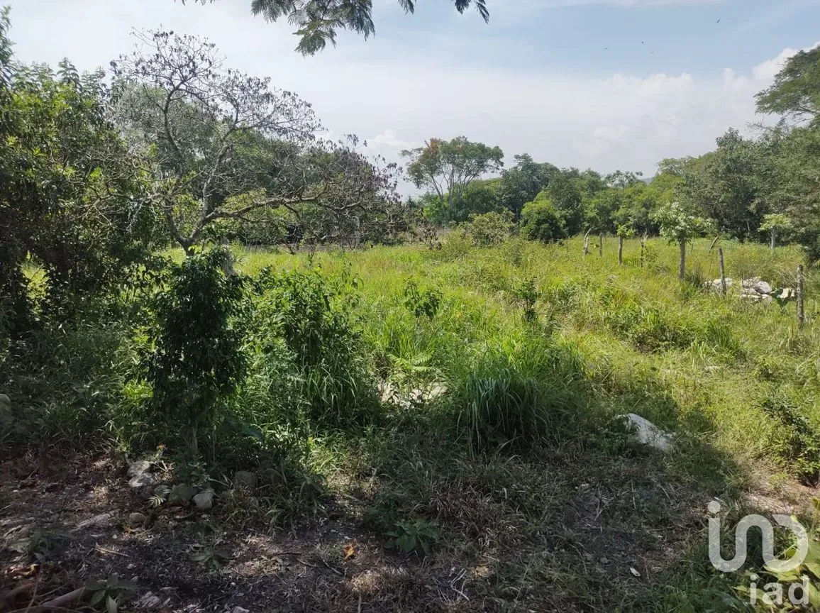 Terreno en Venta en Berriozabal Centro, Berriozábal, Chiapas | NEX-232076 | iad México | Foto 6 de 7