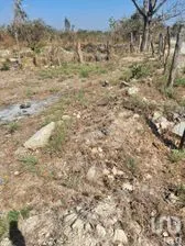NEX-278727 - Terreno en Venta en Loma Bonita, CP 29059, Chiapas.