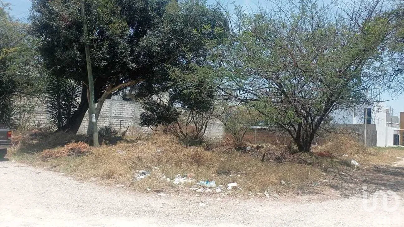 Terreno en Venta en Las Flores, Comitán de Domínguez, Chiapas | NEX-278728 | iad México | Foto 14 de 16