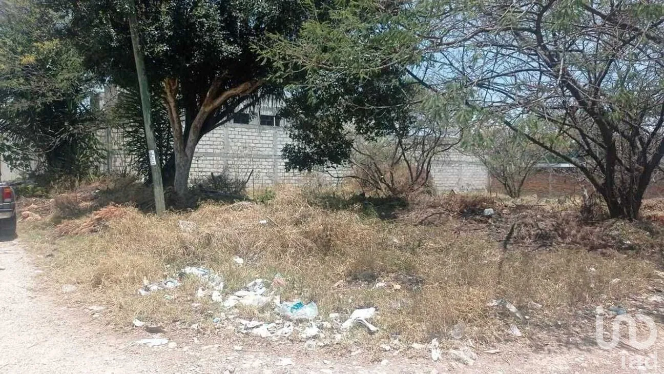 Terreno en Venta en Las Flores, Comitán de Domínguez, Chiapas | NEX-278728 | iad México | Foto 15 de 16