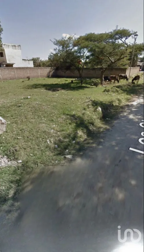 Terreno en Venta en Las Flores, Comitán de Domínguez, Chiapas | NEX-278728 | iad México | Foto 9 de 16