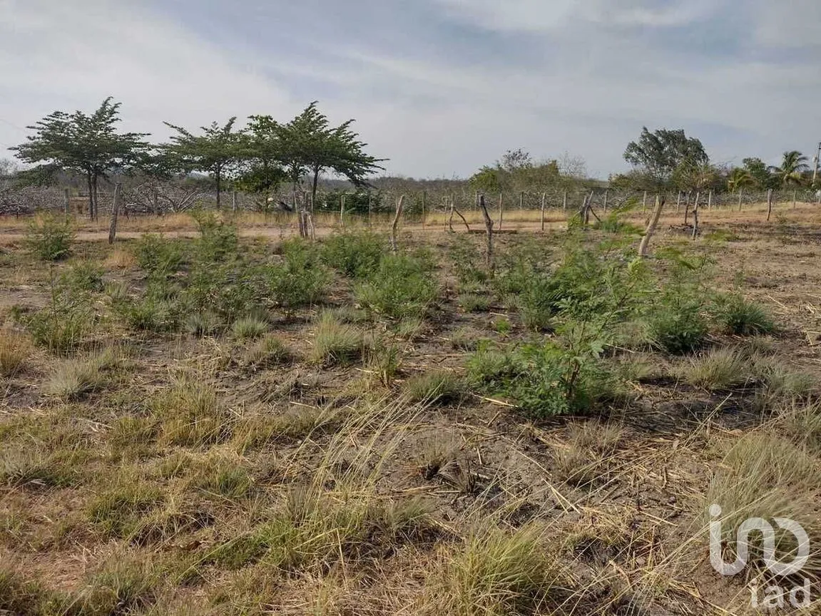 Terreno en Venta en Emiliano Zapata, Tuxtla Gutiérrez, Chiapas | NEX-278730 | iad México | Foto 8 de 17