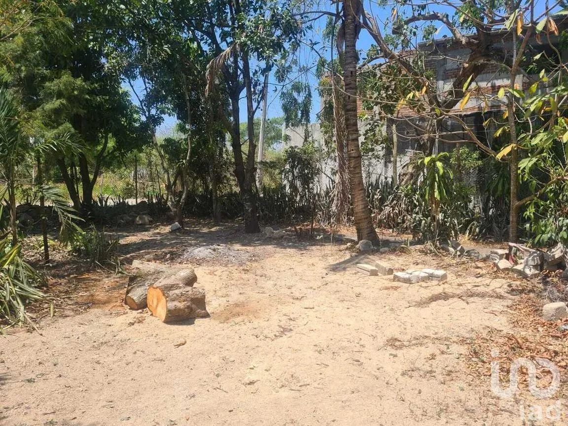 Terreno en Venta en San Miguel, Berriozábal, Chiapas | NEX-278733 | iad México | Foto 6 de 9