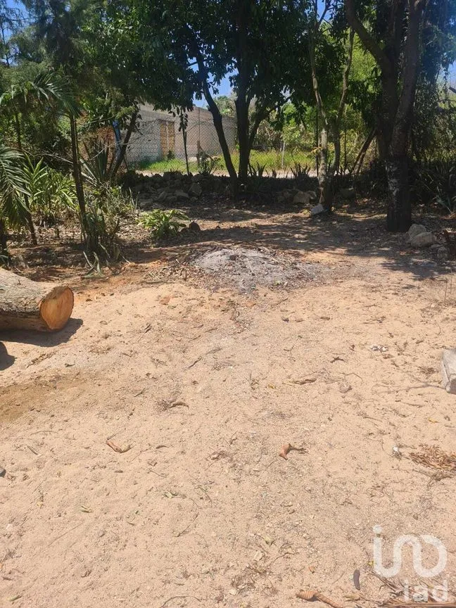 Terreno en Venta en San Miguel, Berriozábal, Chiapas | NEX-278733 | iad México | Foto 8 de 9